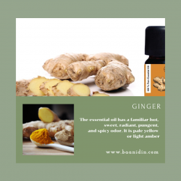 baanidin_ginger_essential_oils_benefits