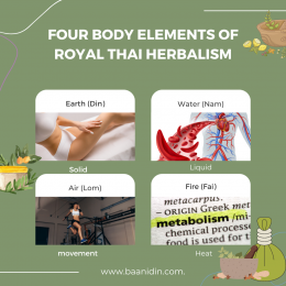 Four body elements of Royal Thai Herbalism