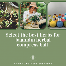 baanidin_select_the_best_herbal_compress_ball.png