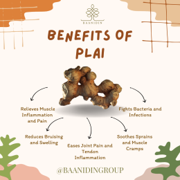 Plai - The Thai Herbal for Inflammation and Pain Relief
