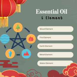 Choosing the Right Essential Oil According to Your Element