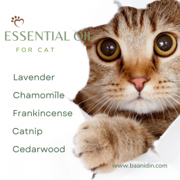 essential_oil_for_cat_aromatherapy.png