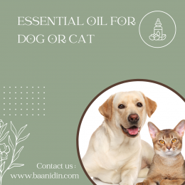 essential_oil_for_dog_or_cat_baanidin_elyrest_wealthdecor