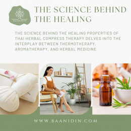 The science behind the healing  of Thai Herbal Compress