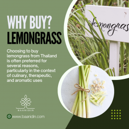 why have to buy lemongrass from THAILAND ?