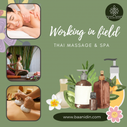 Working in the field of Thai massage and spa 