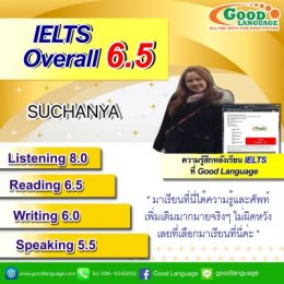 ผลงาน 6.5