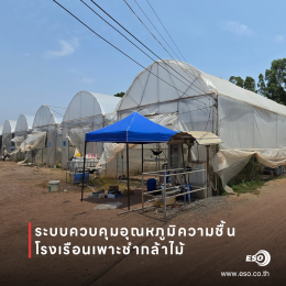 ตู้ควบคุมโรงเรือนเพาะชำกล้าไม้