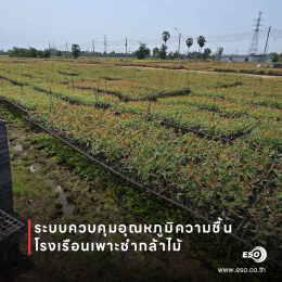 โรงเรือนเพาะชำกล้าไม้