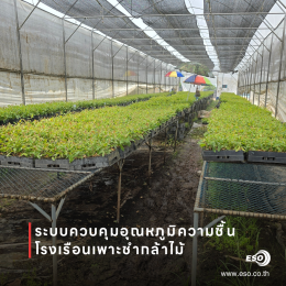 โรงเรือนเพาะชำกล้าไม้