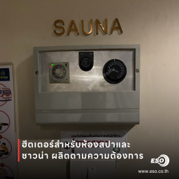Custom Sauna Heater