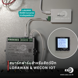 ระบบ Smart Poultry Farm ด้วย LoRaWAN และ WECON IoT ในฟาร์มไก่จังหวัดอ่างทอง