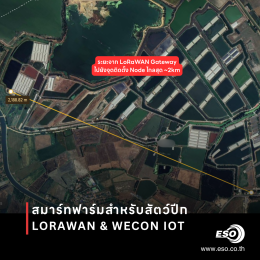 ระบบ Smart Poultry Farm ด้วย LoRaWAN และ WECON IoT ในฟาร์มไก่จังหวัดอ่างทอง