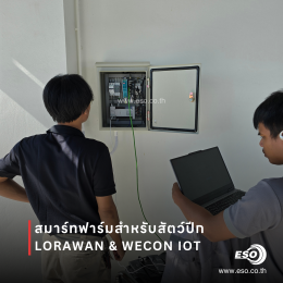 ระบบ Smart Poultry Farm ด้วย LoRaWAN และ WECON IoT ในฟาร์มไก่จังหวัดอ่างทอง
