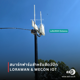 ระบบ Smart Poultry Farm ด้วย LoRaWAN และ WECON IoT ในฟาร์มไก่จังหวัดอ่างทอง