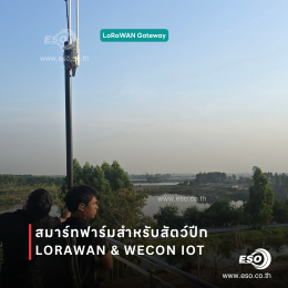 ระบบ Smart Poultry Farm ด้วย LoRaWAN และ WECON IoT ในฟาร์มไก่จังหวัดอ่างทอง