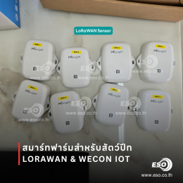 ระบบ Smart Poultry Farm ด้วย LoRaWAN และ WECON IoT ในฟาร์มไก่จังหวัดอ่างทอง