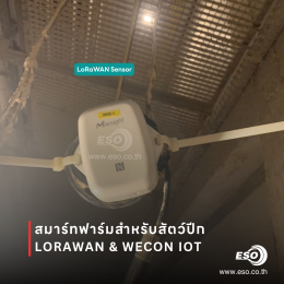 ระบบ Smart Poultry Farm ด้วย LoRaWAN และ WECON IoT ในฟาร์มไก่จังหวัดอ่างทอง