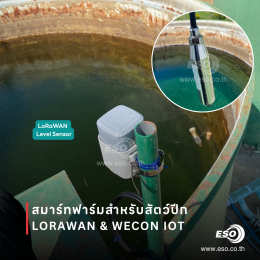 ระบบ Smart Poultry Farm ด้วย LoRaWAN และ WECON IoT ในฟาร์มไก่จังหวัดอ่างทอง