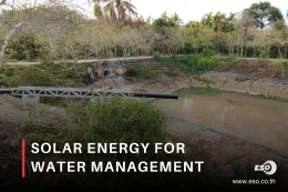 Water Storage at Surat Thani