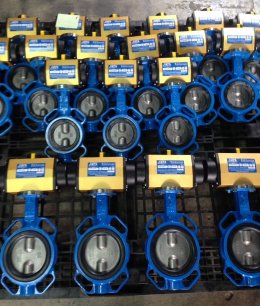 SIRCA Pneumatic Rotary Actuator + butterfly valve