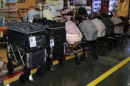 เริ่มแล้ว!!! มหกรรมสำหรับคนรักแมวที่ใหญ่ที่สุดแห่งปี