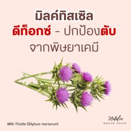 Milk Thistle