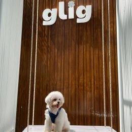 รีวิวคาเฟ่สำหรับน้องสุนัข vol. 4 | GLIG CAFE