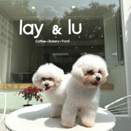 รีวิวคาเฟ่สำหรับน้องสุนัข vol. 8 | lay & lu 