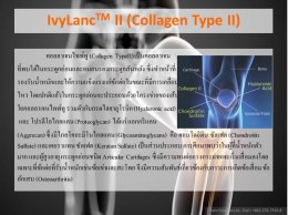 IvyLanc TMII (Collagen Type II) คอลลาเจนชนิดที่ 2 จากกระดูกอ่อนไก่ 