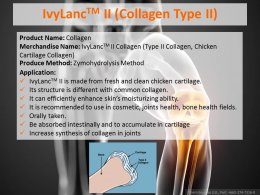 IvyLanc TMII (Collagen Type II) คอลลาเจนชนิดที่ 2 จากกระดูกอ่อนไก่ 