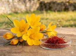 เจาะลึก 5 ส่วนผสมทรงคุณค่าใน Moisture Boost: เบื้องหลังความอ่อนเยาว์ที่คุณสัมผัสได้