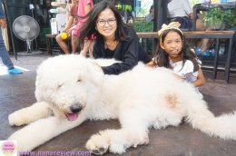 Big Dog Cafe Ratchada