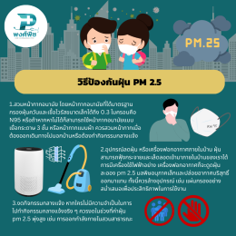 วิธีป้องกันฝุ่น PM 2.5