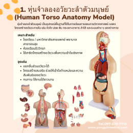 อุปกรณ์เพื่อการเรียนรู้ทางการแพทย์ (Medical Training Equipment)