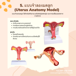 อุปกรณ์เพื่อการเรียนรู้ทางการแพทย์ (Medical Training Equipment)