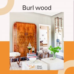 Burl wood ไม้ลายแปลก หายาก ที่มีเสน่ห์ และเก๋มากที่สุด 