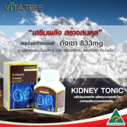 Kidney tonic  เจาะลึก “ถั่งเช่า” สมุนไพรรักษาโรค