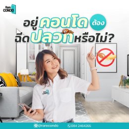 อยู่คอนโด ควรฉีดปลวกไหม? 