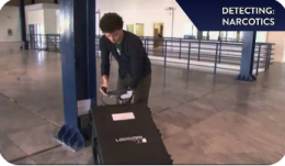The hand-held device detects smuggled drugs, explosives, banknotes and people