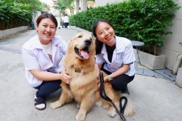 กิจกรรมสัตว์เลี้ยงบำบัด Pet Therapy