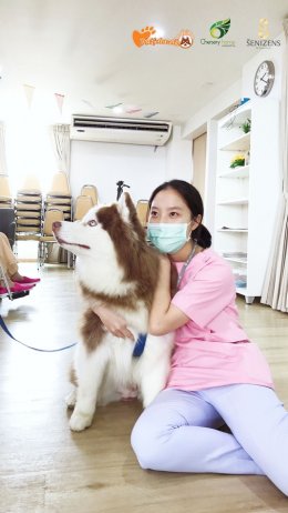 กิจกรรมสัตว์เลี้ยงบำบัด Pet Therapy