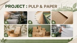 Project: Pulp and Paper Industry