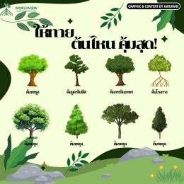 Let's guessing which tree is the most absorbing CO2 plant