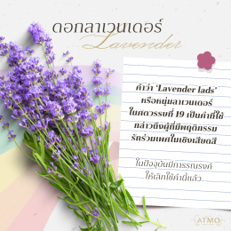 5 ดอกไม้และความหมายลับในยุคที่รักต้องซ่อนของชาว LGBTQ+