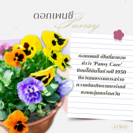 5 ดอกไม้และความหมายลับในยุคที่รักต้องซ่อนของชาว LGBTQ+