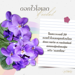 5 ดอกไม้และความหมายลับในยุคที่รักต้องซ่อนของชาว LGBTQ+