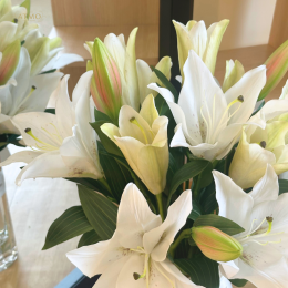 The flower of belief of unchanging belief and change