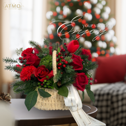 Fill your home with CHRISTMAS Cheer and Bloom