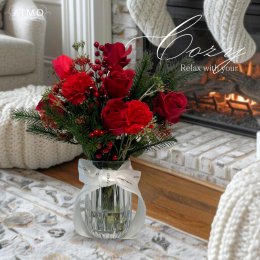 Fill your home with CHRISTMAS Cheer and Bloom